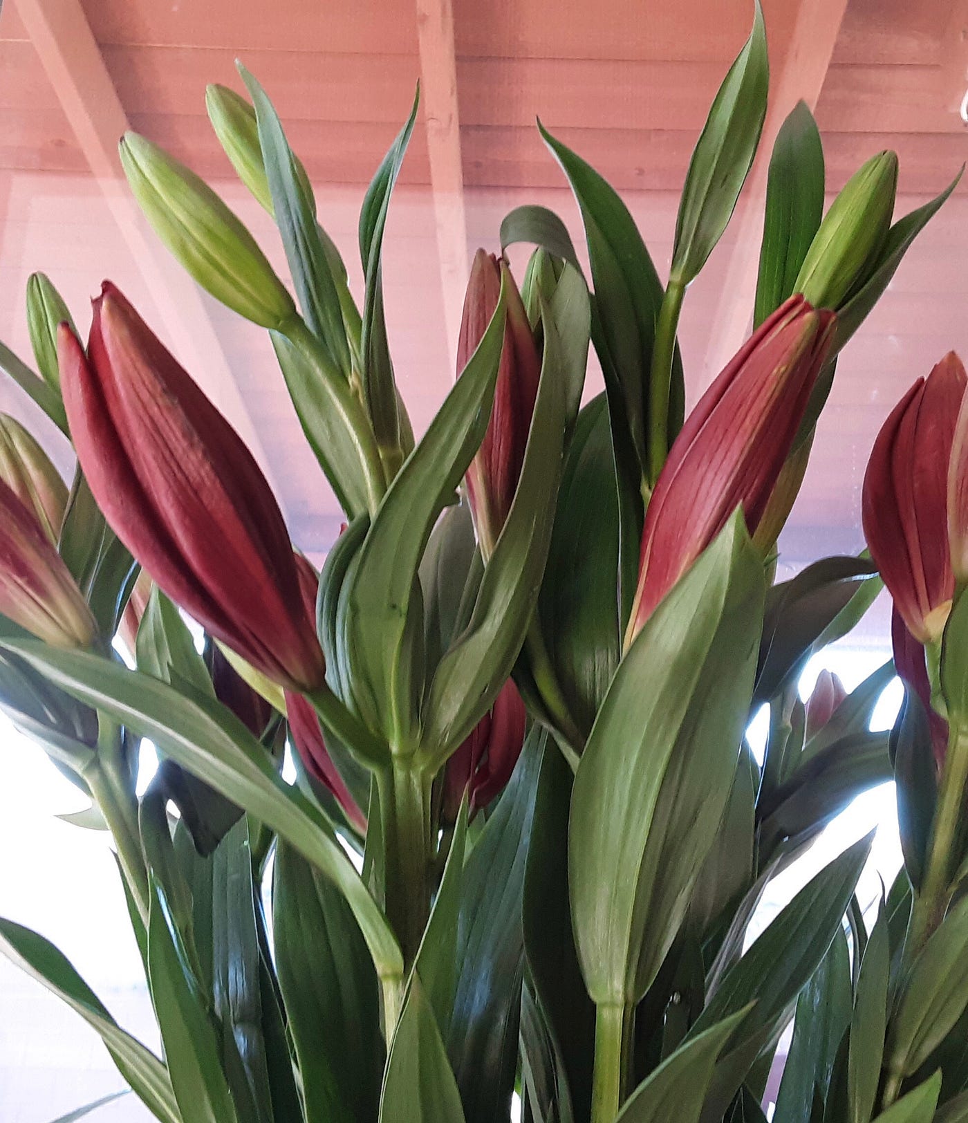 How To Create Keep Your Eye On The Ball Not The By Baird Brightman Medium