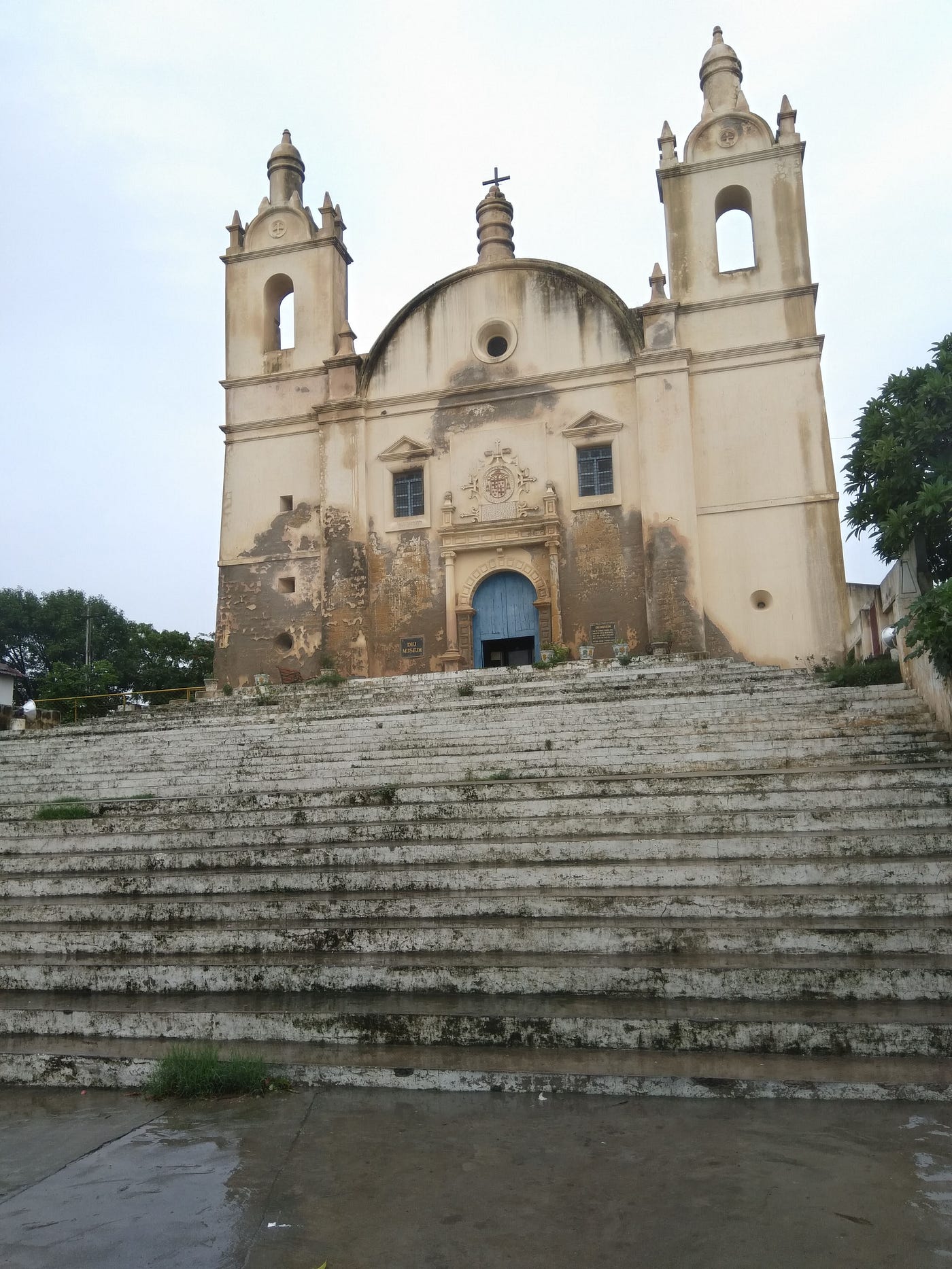 o coqueiro diu