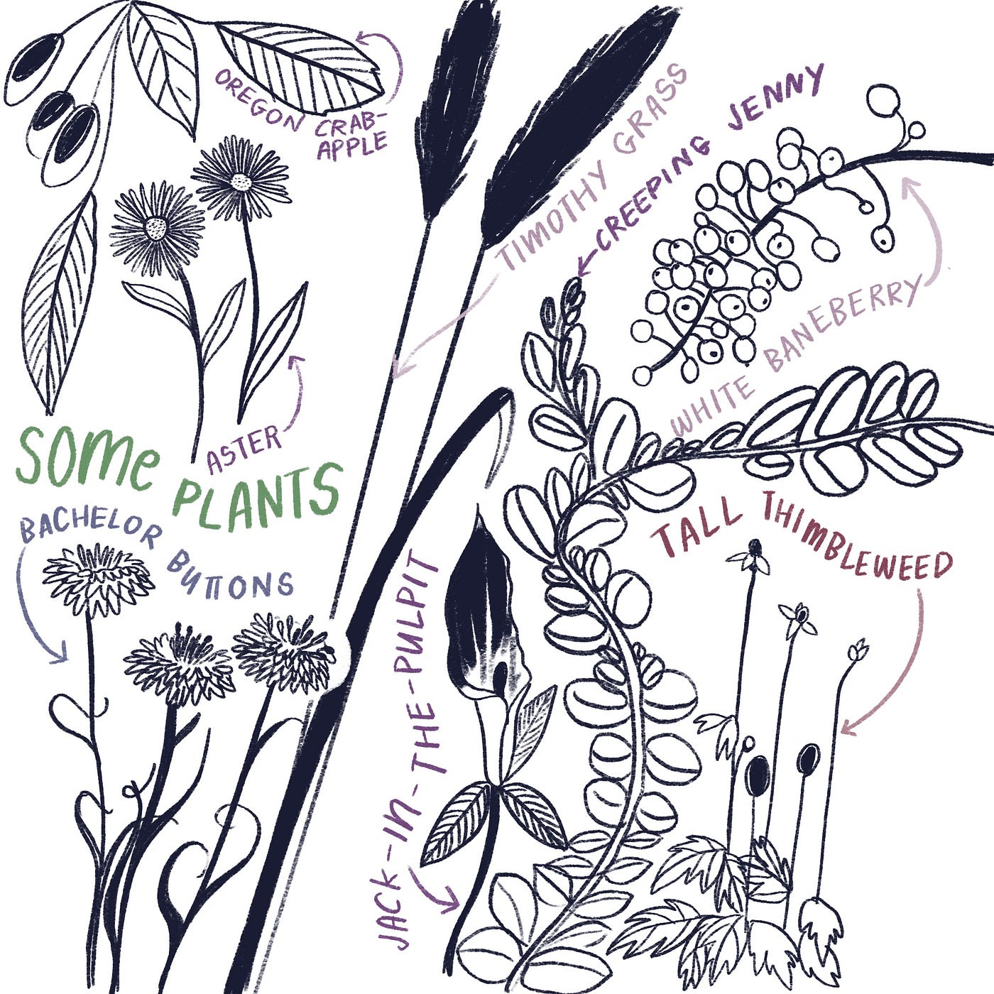 How to Do 50 Things. These things are completely unrelated… | by Sophie  Lucido Johnson | Forge