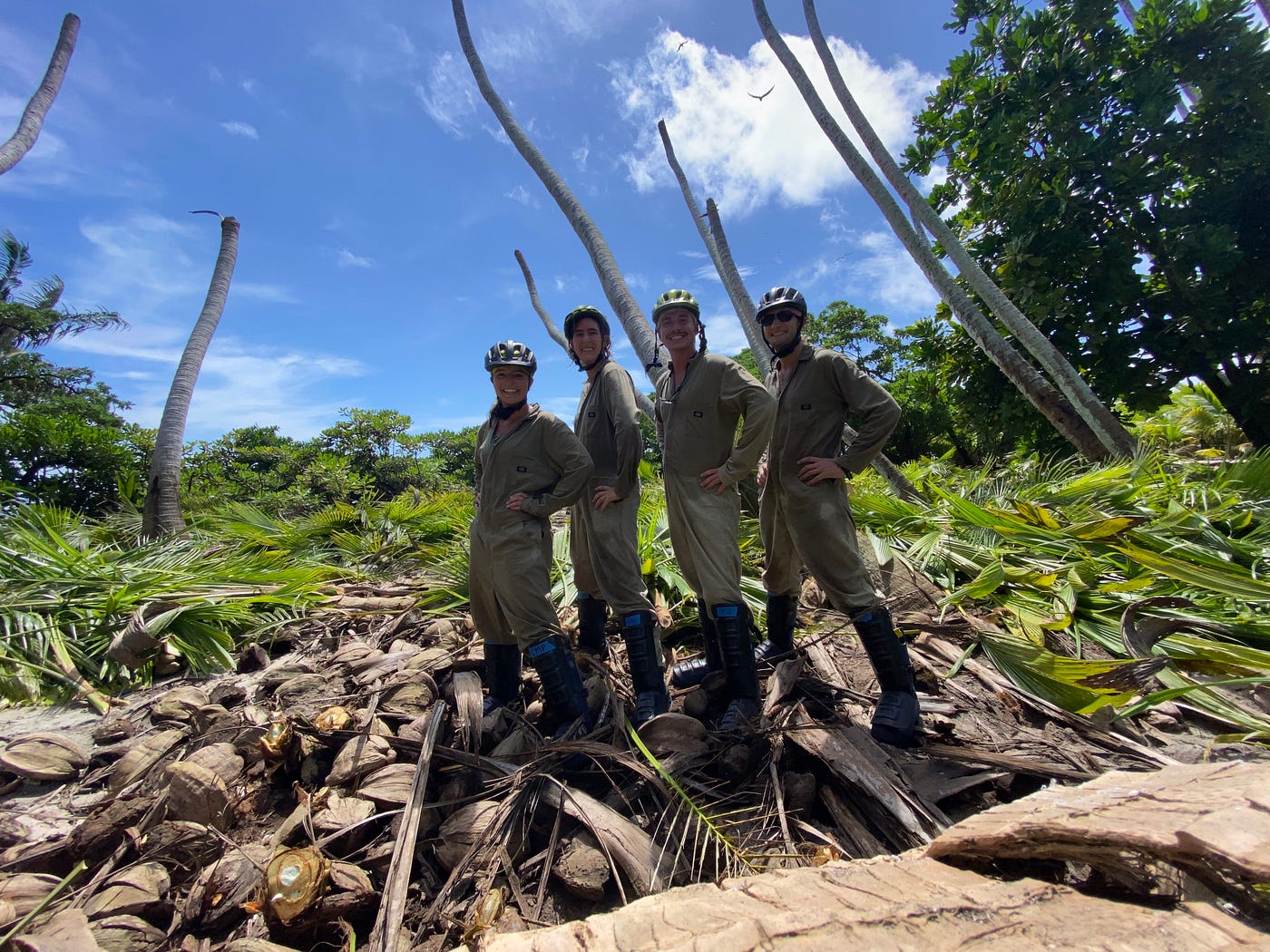 Another Milestone at Palmyra Atoll - One Million Coconut Palms Removed ...