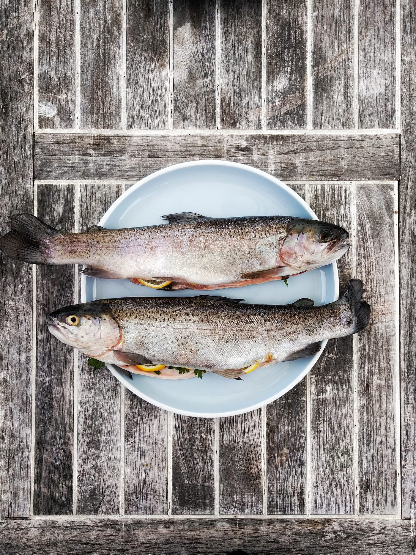 鼻先からしっぽまで が 上唇から尻びれまで に 魚をムダなく食べるための革新的料理本が誕生 By Junicci Hayakawa 早川 純一 ククブク