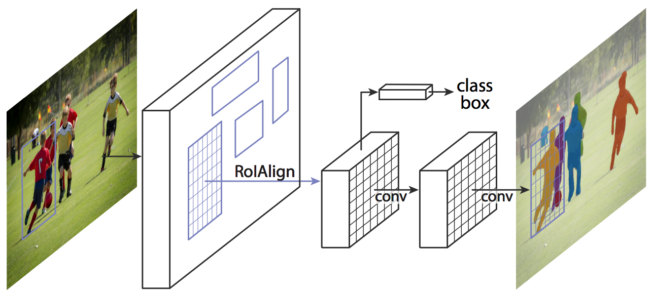 Splash of Color: Instance Segmentation with Mask R-CNN and TensorFlow | by  Waleed Abdulla | Matterport Engineering Techblog