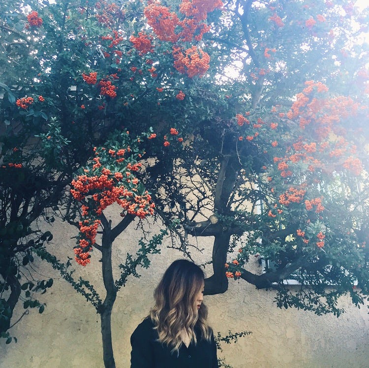 Curling Basics 101 Part 2. I am so sorry for posting this blog… by