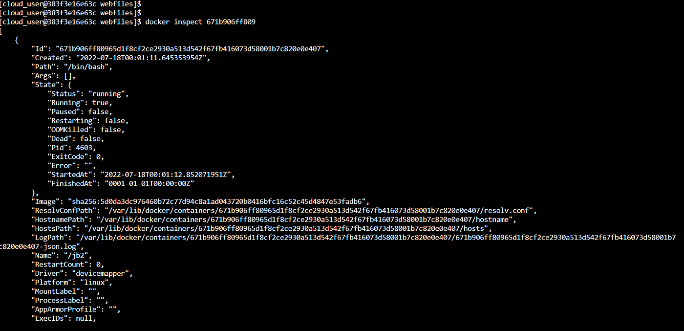 How to Create a Docker Network and Mount Points to a Docker Directory