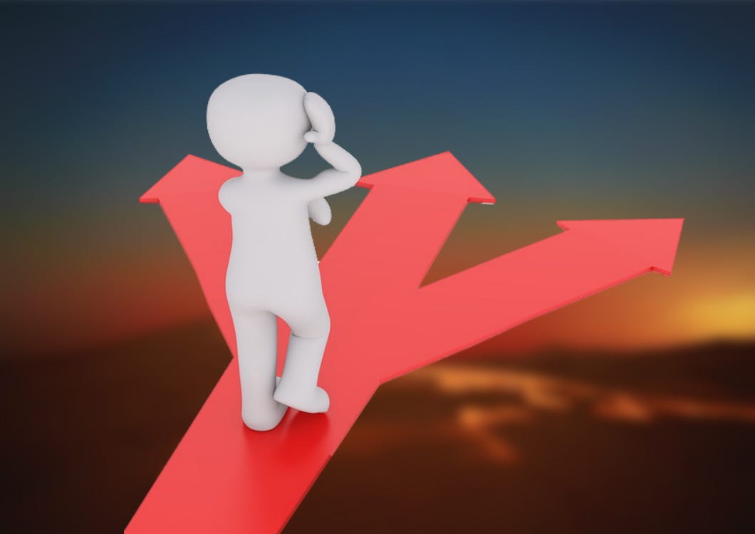 humans make terrible decisions, decision making