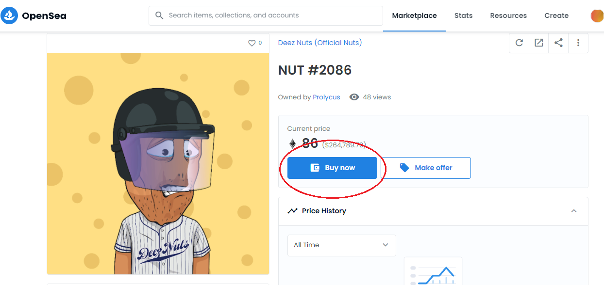 Deez Nuts NFT Discord Server