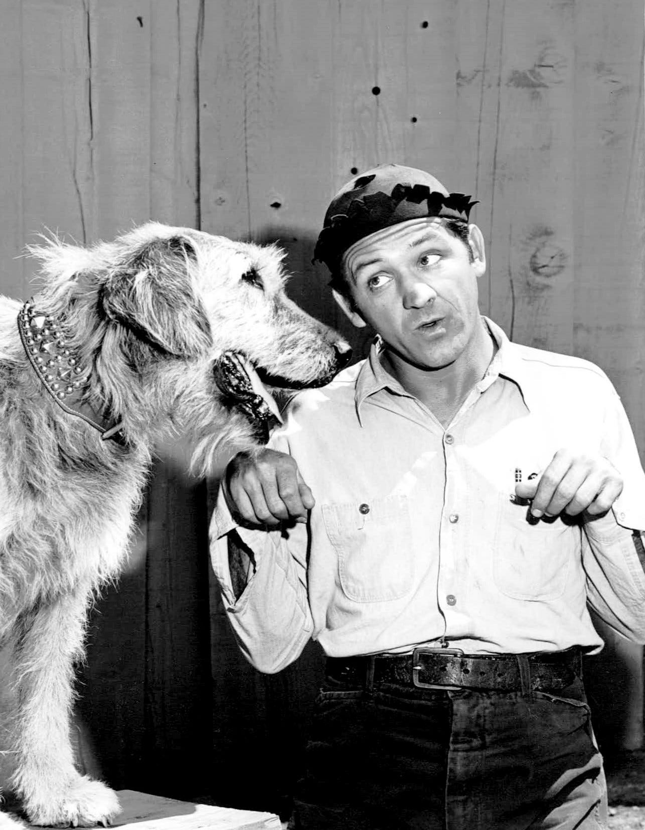 A dog and George Lindsey as Goober
