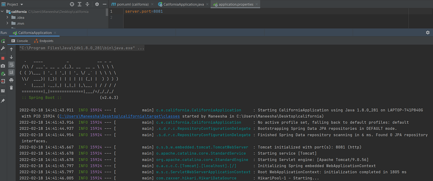 Create First Microservice using Spring Boot | by Maneesha Indrachapa | Dev  Genius