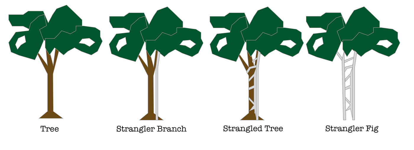 The Strangler Fig Migration Pattern | by Diana Darie | Medium