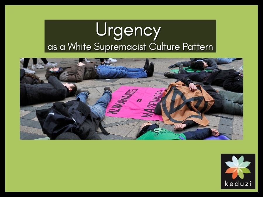 A photo of Extinction Rebellion activists performing a “die-in” in Germany. They are lying down on a pedestrianised part of a city centre, pretending to be dead. There are Extinction Rebellion symbols on flags. Over the image are the words “Urgency as a White Supremacist Culture Pattern”. Also, the Keduzi logo, which is a colourful flower, is in the bottom right-hand corner.