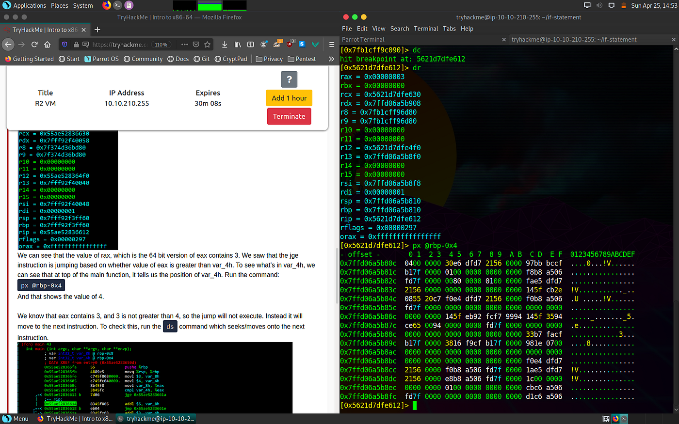 hopper disassembler read memory heap