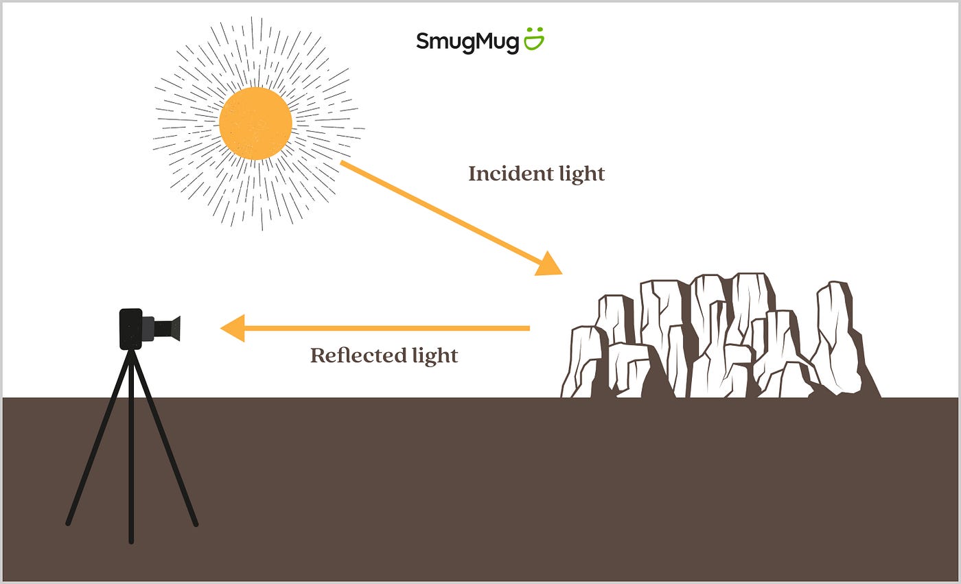 Reflected light and how it impacts your photos. | by SmugMug | SmugMug
