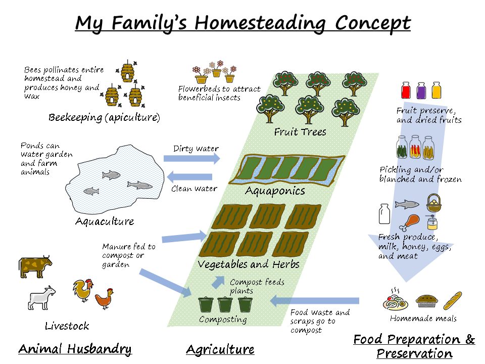 What is Homesteading?. A path to environmentally sustainable… by Y.M. Saegusa Satoyama Medium