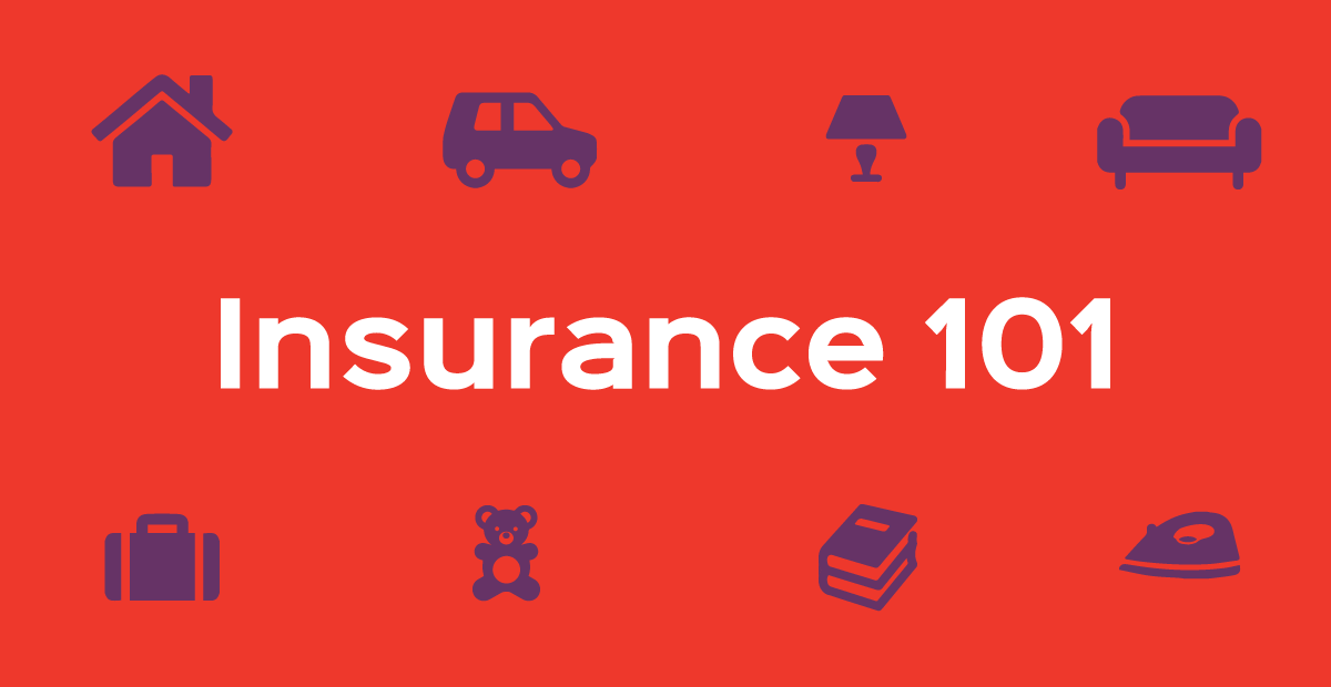 Insurance 101: A Beginner’s Guide | by Andrew Wells | Pinch Financial ...