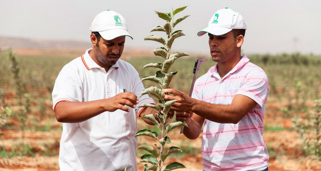 business solutions for climate: agriculture by sparknews