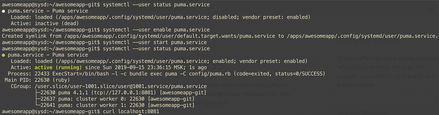 puma website crash