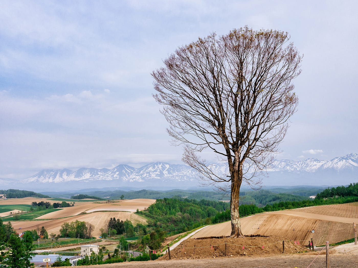 遊記 又是淡季旅遊 17春末 北海道函館 美瑛 居然有時間寫完這篇真是奇蹟啊 By Roa Kuo Roa S Blog Medium
