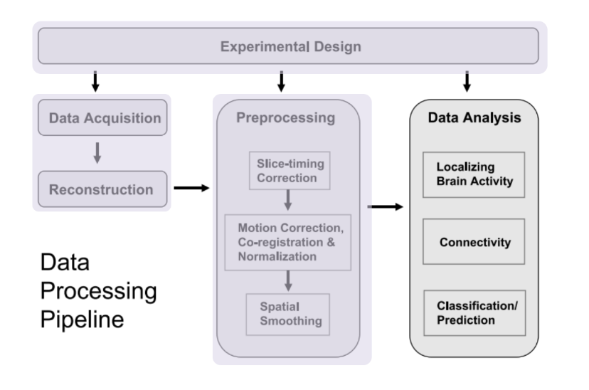 Identifying Resting State Networks From Fmri Data Using Icas By Gili Karni Towards Data Science Identifying Resting State Networks From Fmri Data Using Icas By Gili Karni Towards Data Science