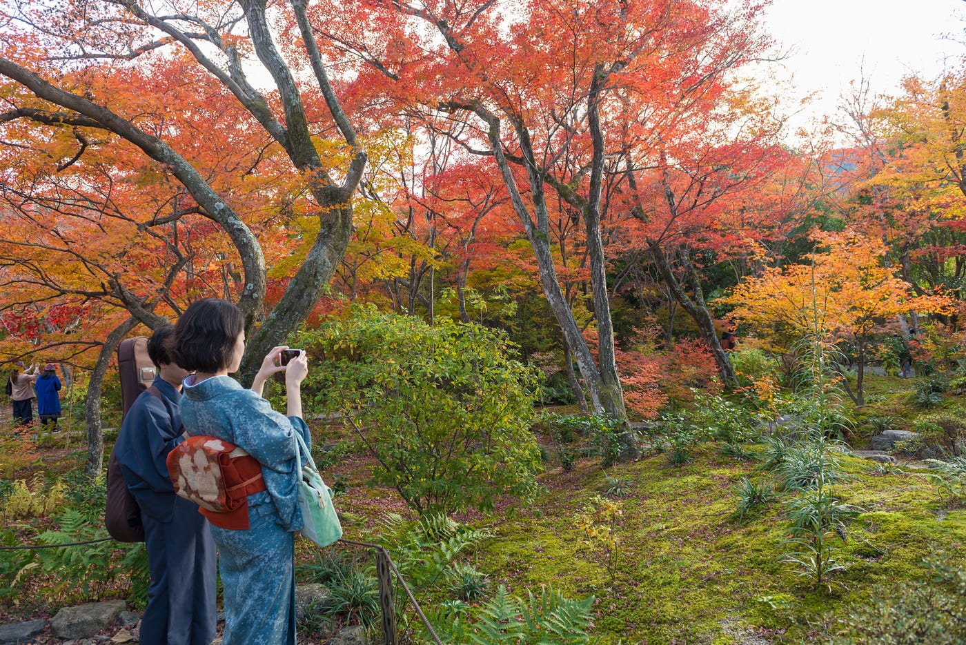 紅葉恐ろしい伝説も残る 紅葉狩り の語源と由来 紅葉の美しい季節がやってきましたね 紅葉を眺めることを 紅葉狩り と言いますが By N Crevia Tac Medium