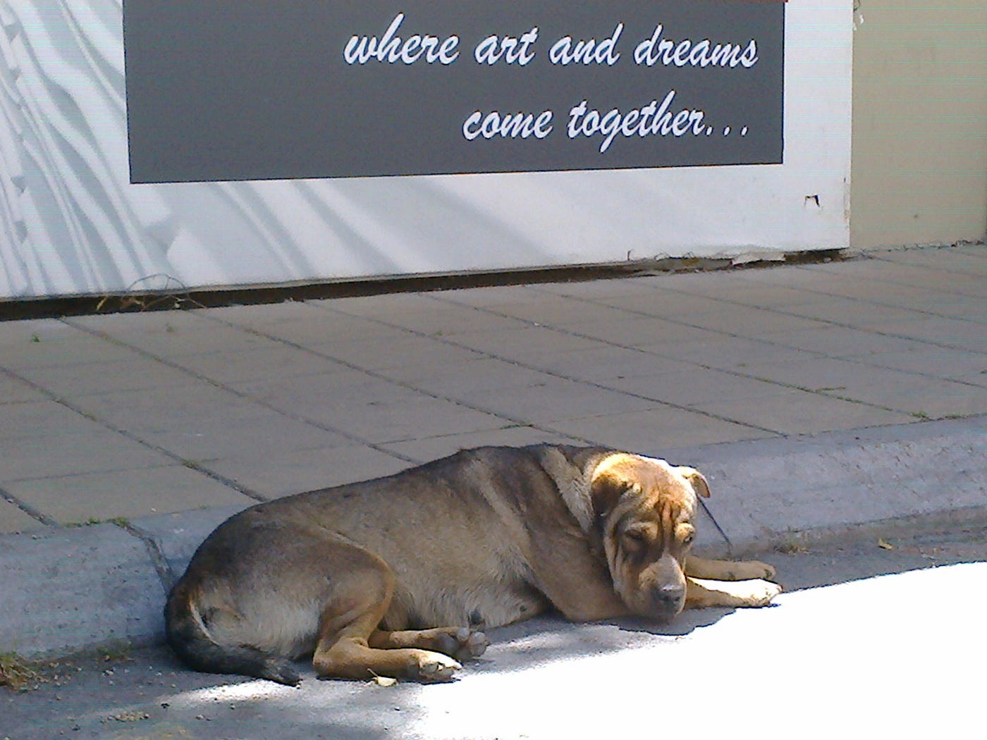 A reflection …and how to get rid of it by Luka Bibicch Medium