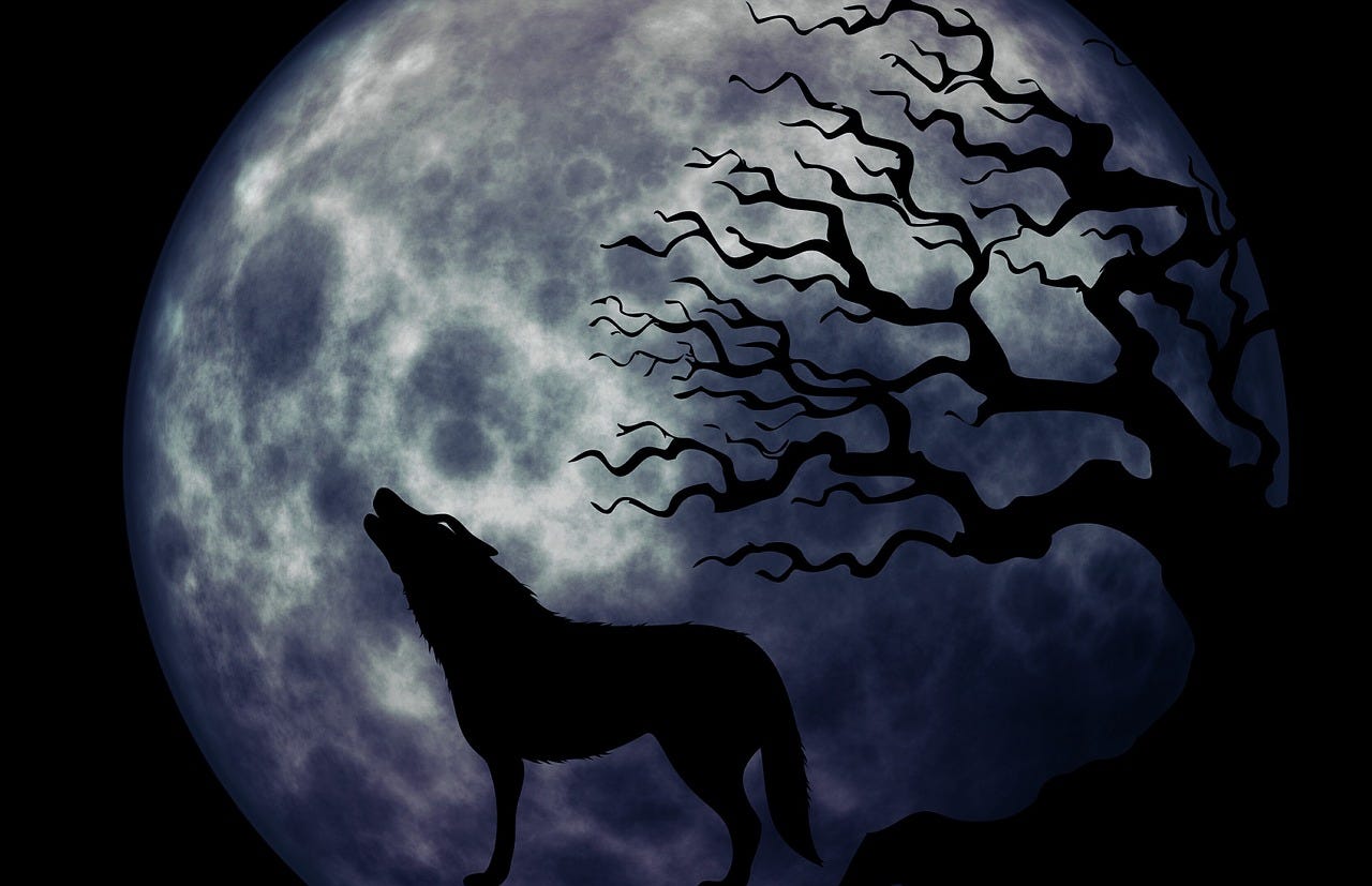 dog barking at the moon