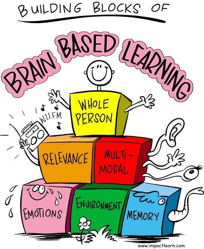 brain learning theory