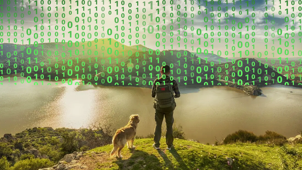 Do we Live in a Simulation? — The Search for a Source Code | by Rohan  Roberts | Medium