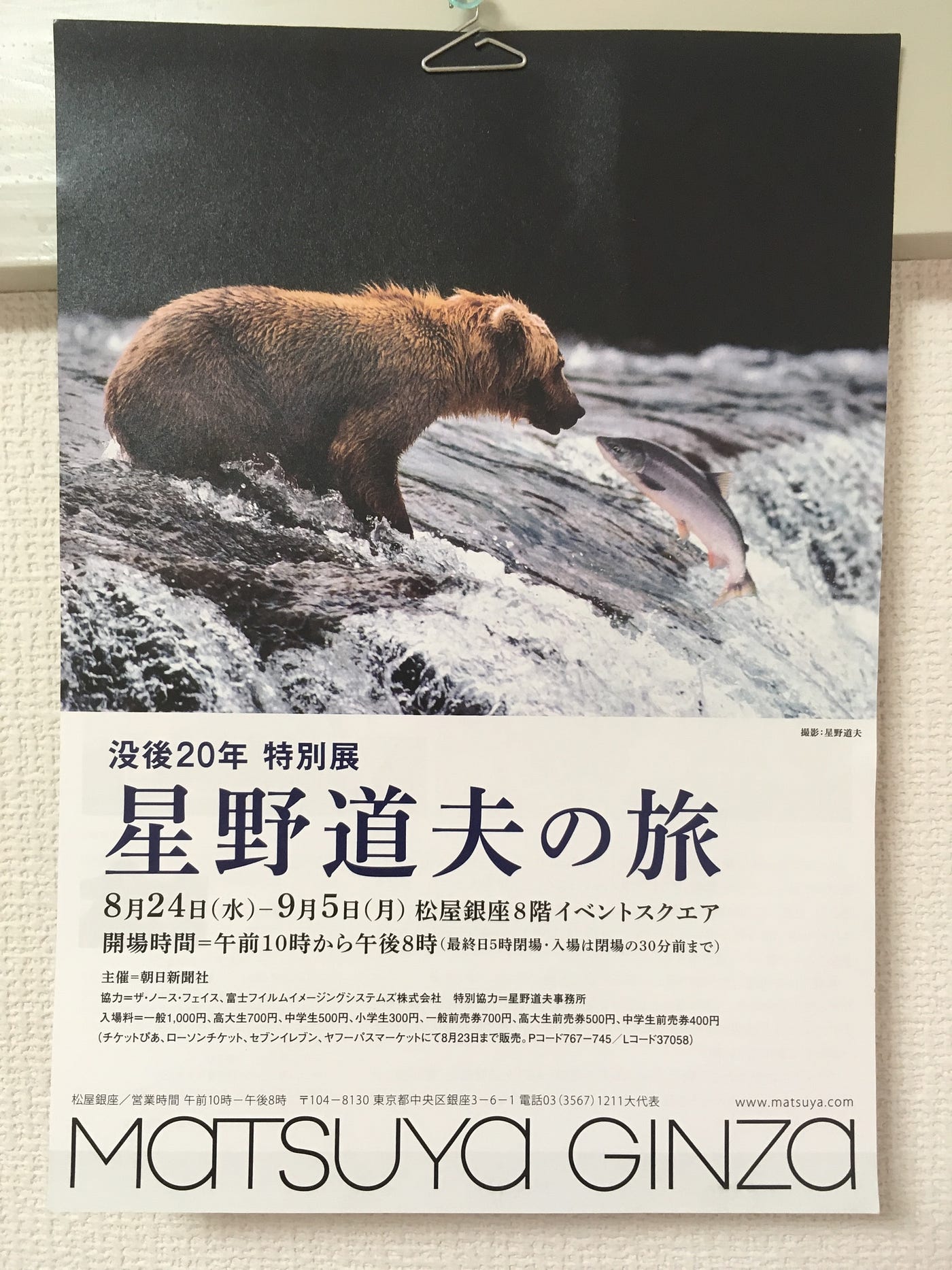 星野道夫という生き方 生命体の本質を見つめて By こころ Medium