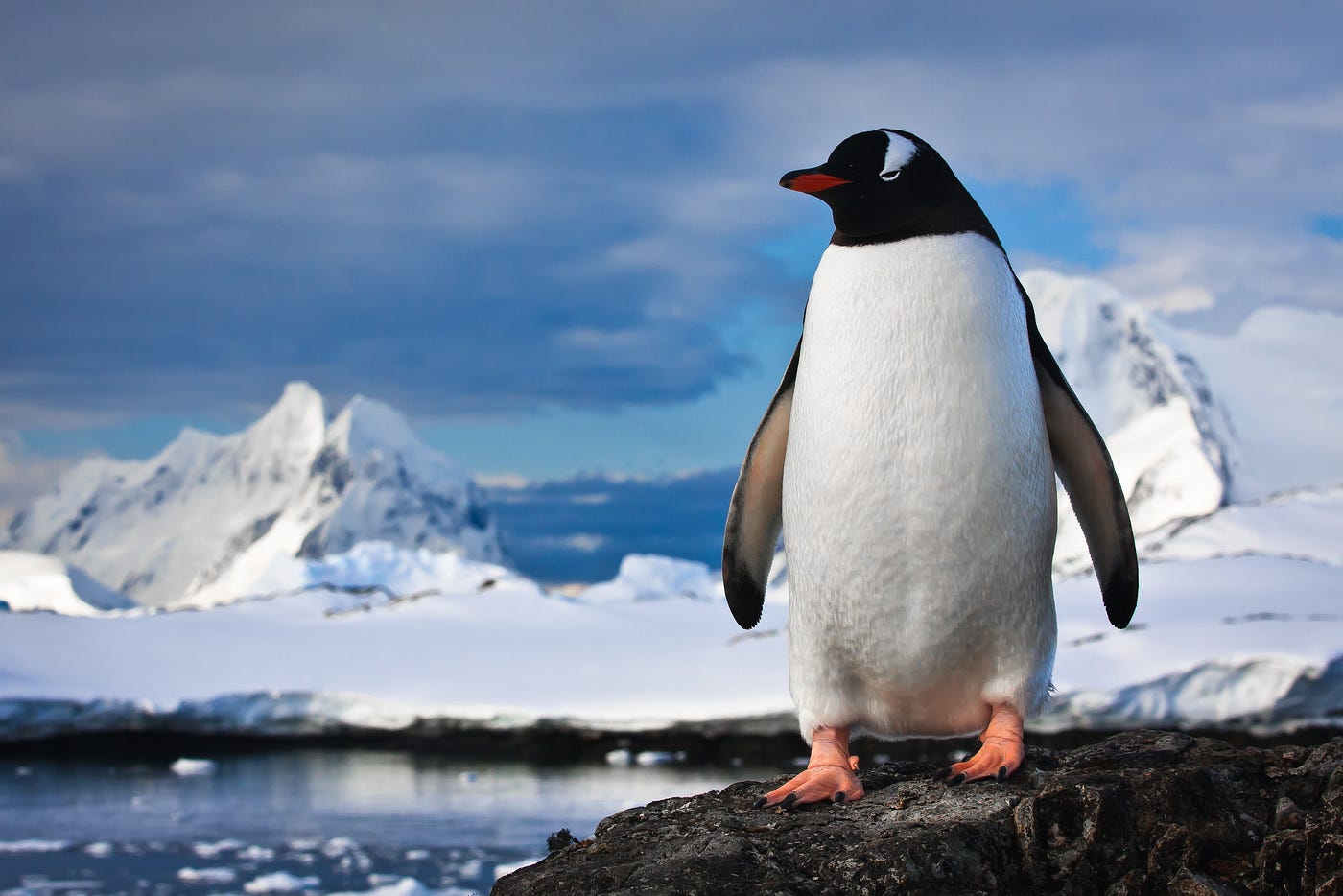 Day 65: Change Linux Root Password with Shadow File Permission Issues | by  Diddy Doodat | Medium