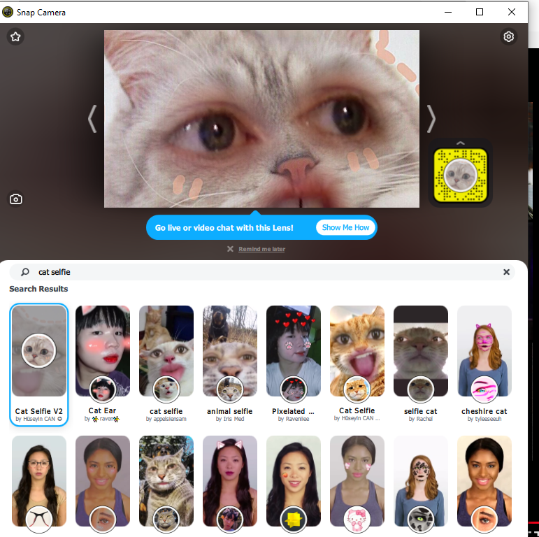 How To Use A Cat Filter Like The One In The Viral Zoom Courtroom Video By Thomas Smith Debugger