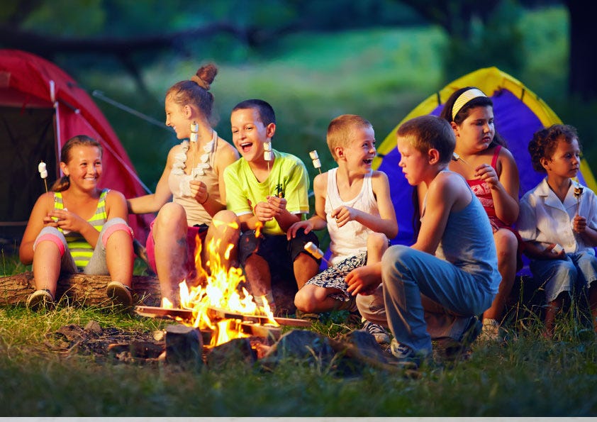 Swift Naturecamp Medium