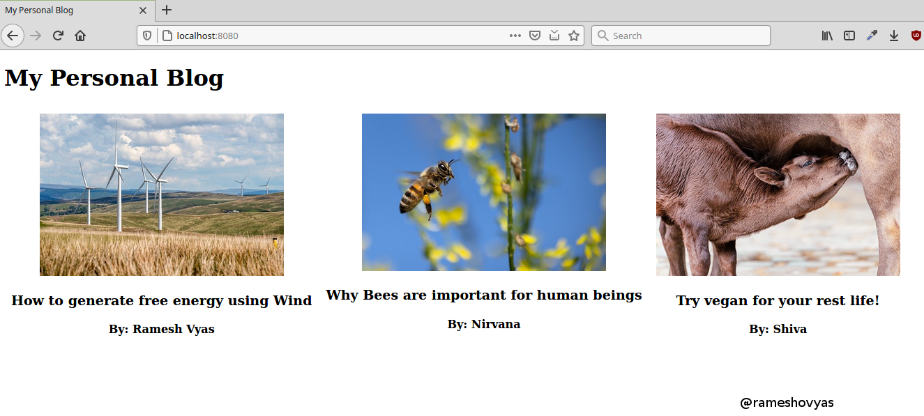 How to Create Dynamic  Page That Displays JSON Data, in Rust Using