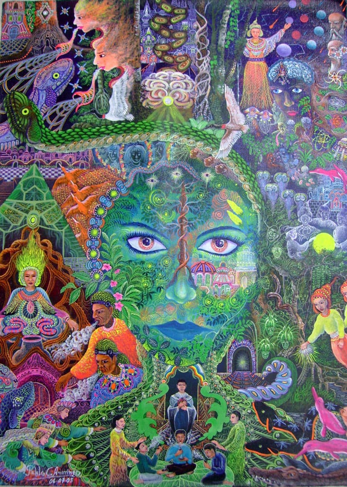 Preparing For Your First Ayahuasca Ceremony By Nondual Fool Medium