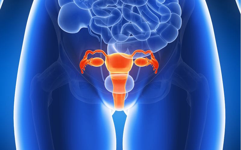 Waffles Azul Fotos El Internet Esta Llena A Rebosar Con By Blue Waffels Medium