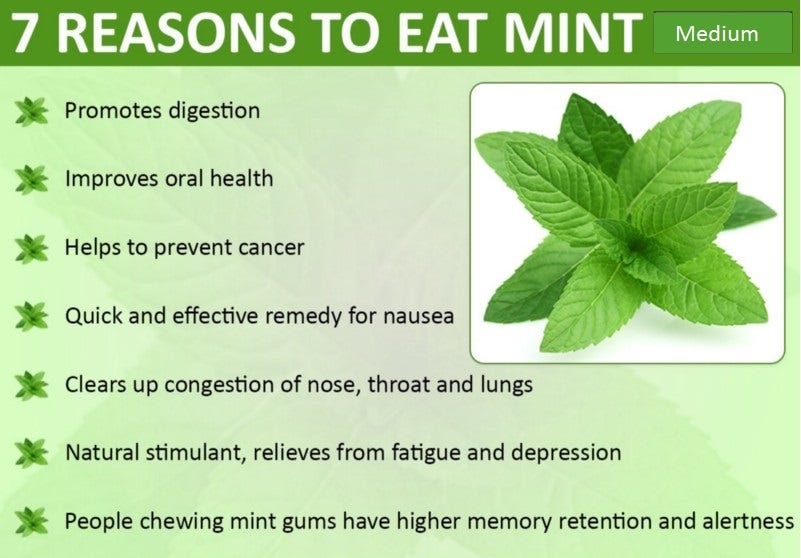 How To Prepare Mint Tea Ingredients 200ml Of Water 10 Mint By Latha Maheswari Medium