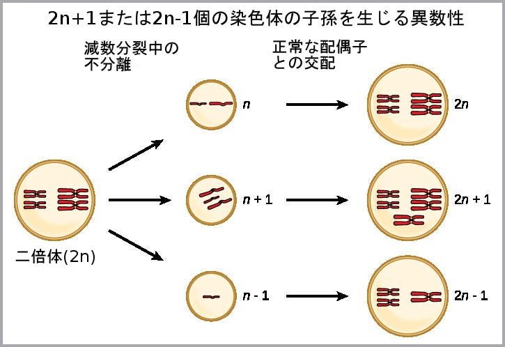 交配前隔離