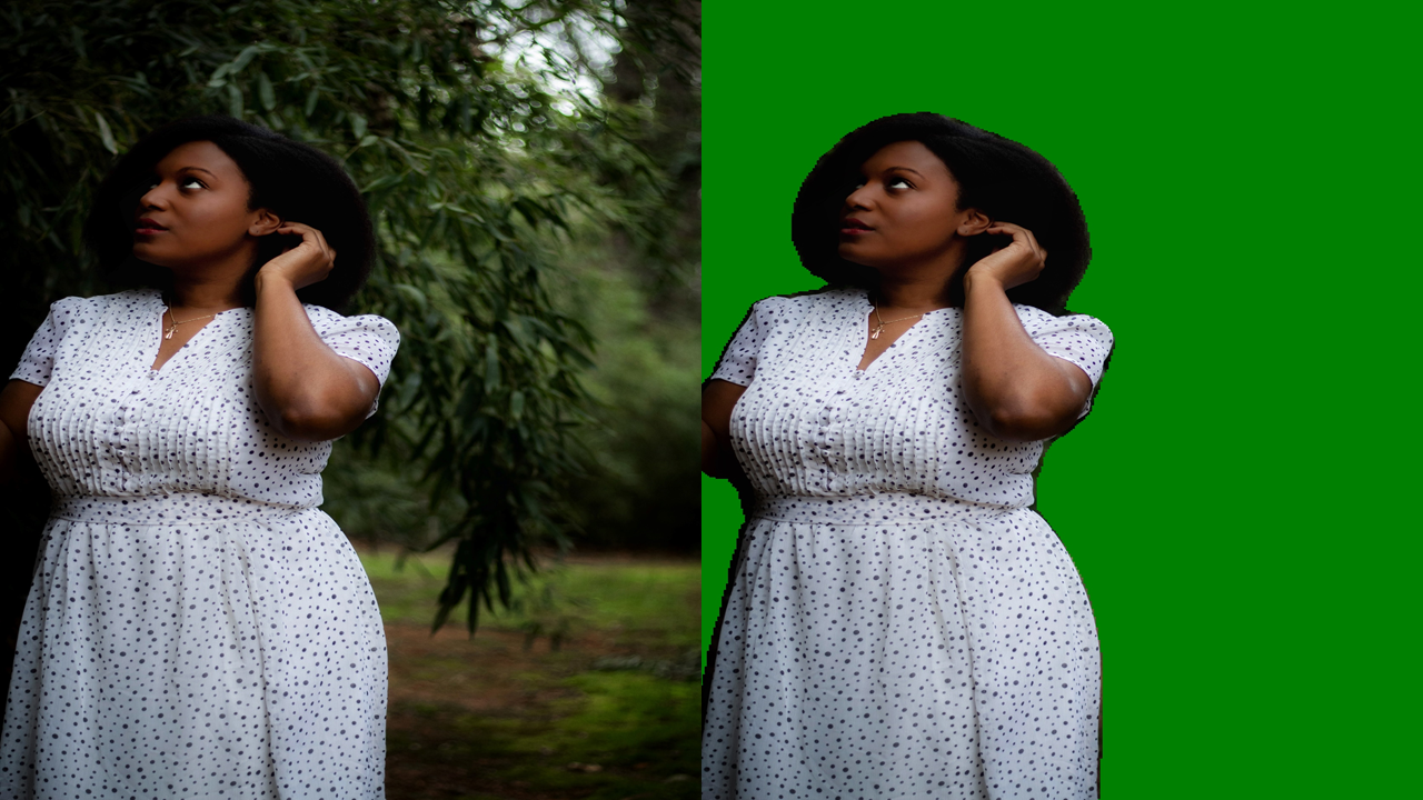 Change the Background of Any Image with 5 Lines of Code | by Ayoola  Olafenwa (she/her) | Towards Data Science
