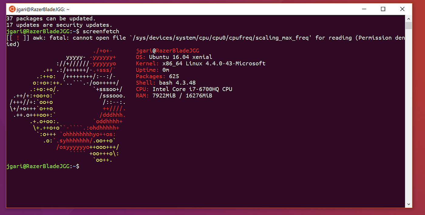 Make Bash on Ubuntu on Windows 10 Look Like the Ubuntu Terminal | by James  Garijo-Garde | Better Programming
