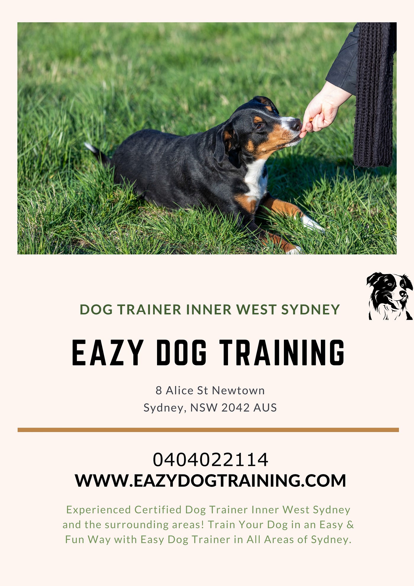 Eazy Dog Training by Anniina – Medium