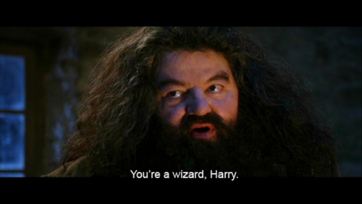 YERAWEZARDHARREH! Skjermskot frå «Harry Potter og de vises sten».