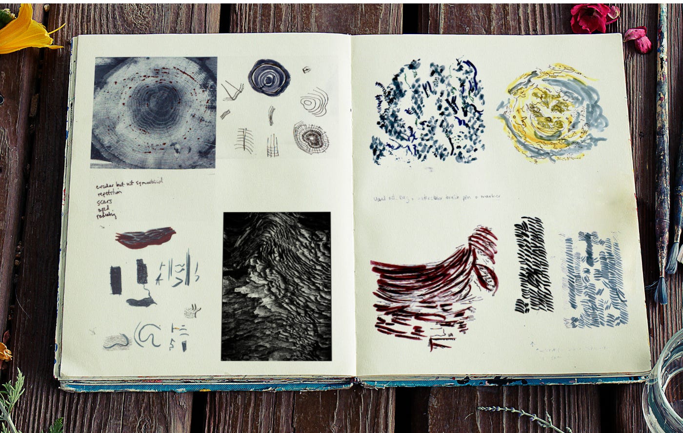 A spread from my sketchbook with a variety of marks in watercolor and pencil next to photos of tree bark textures.