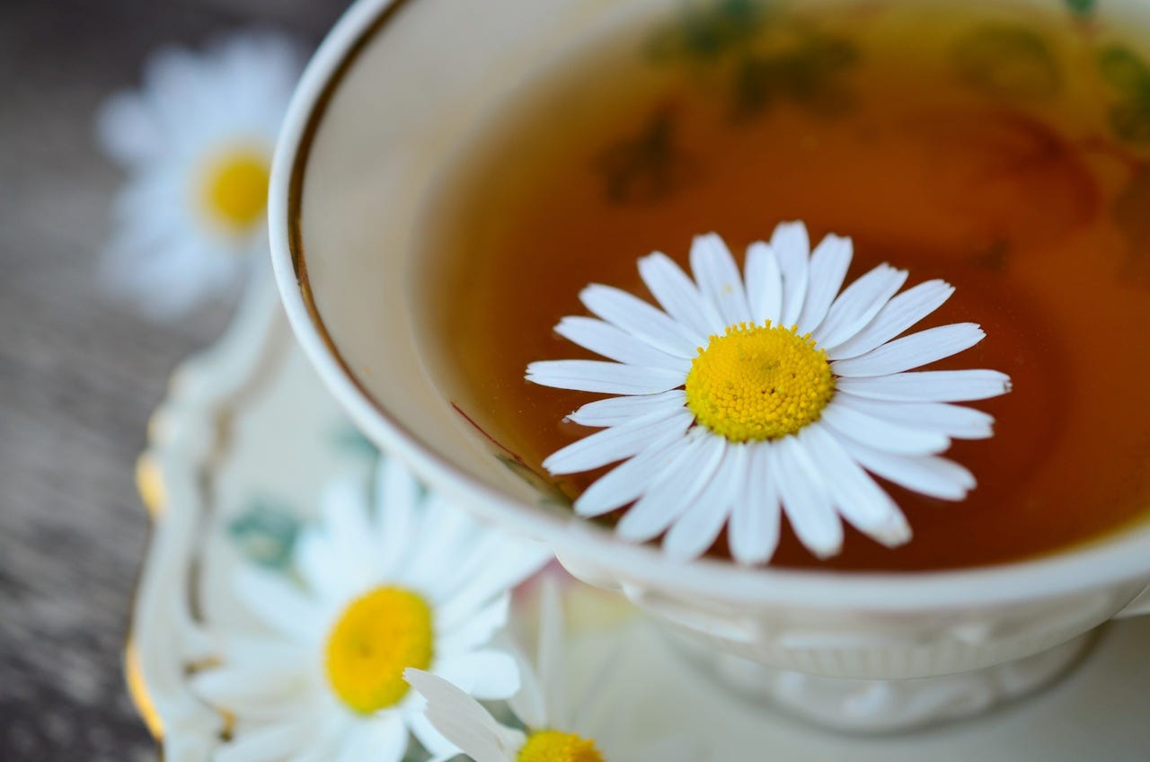 6 Best Teas for Digestion. Sip on a cup of tea to cure your gut… by