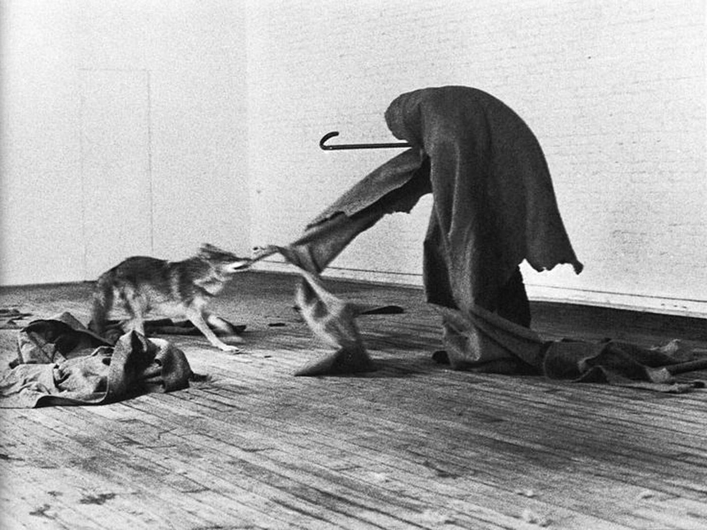 Joseph Beuys — I Like America and America Likes Me, 1974