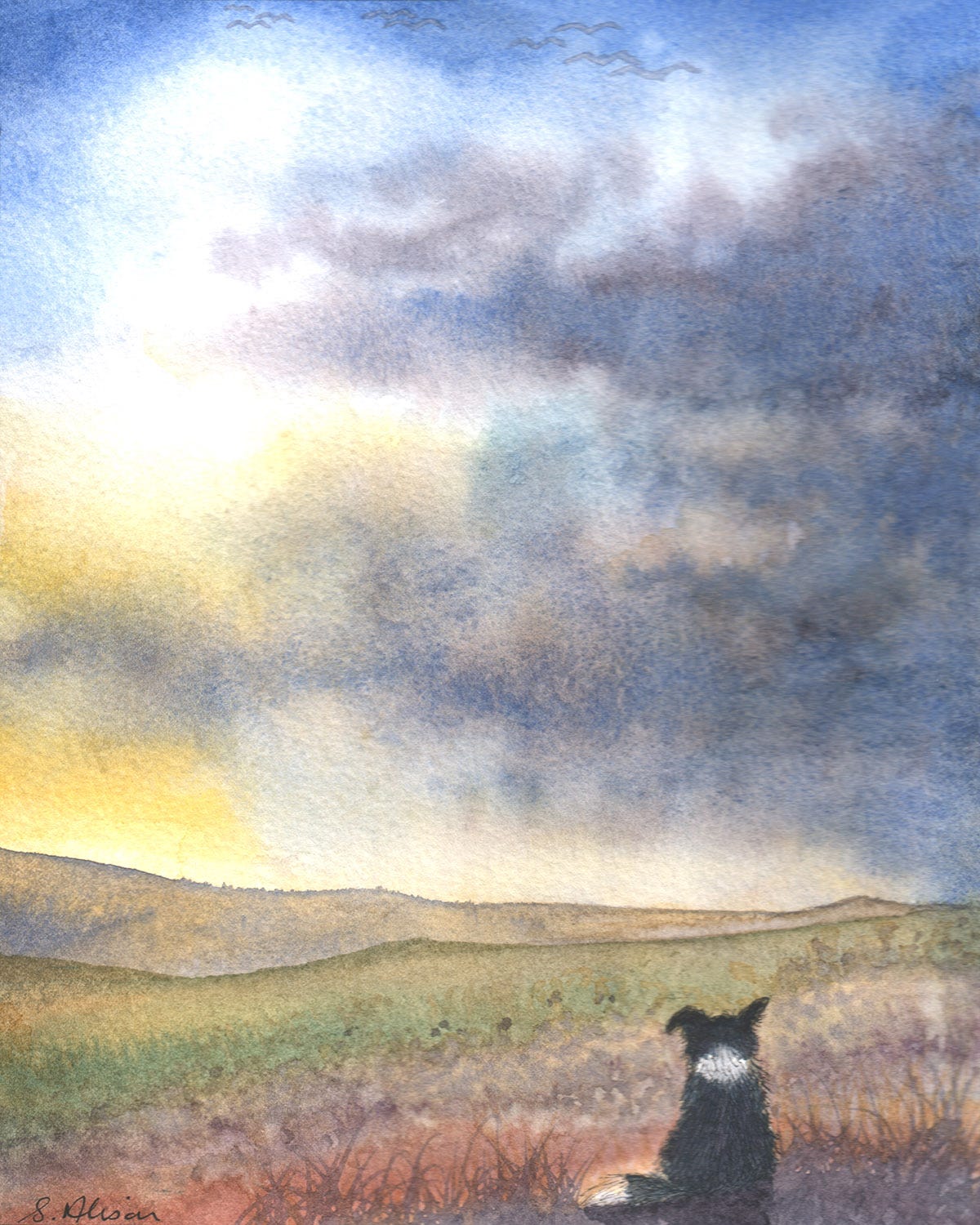 Watercolour painting of a dog looking at a landscape after a storm has passed over.