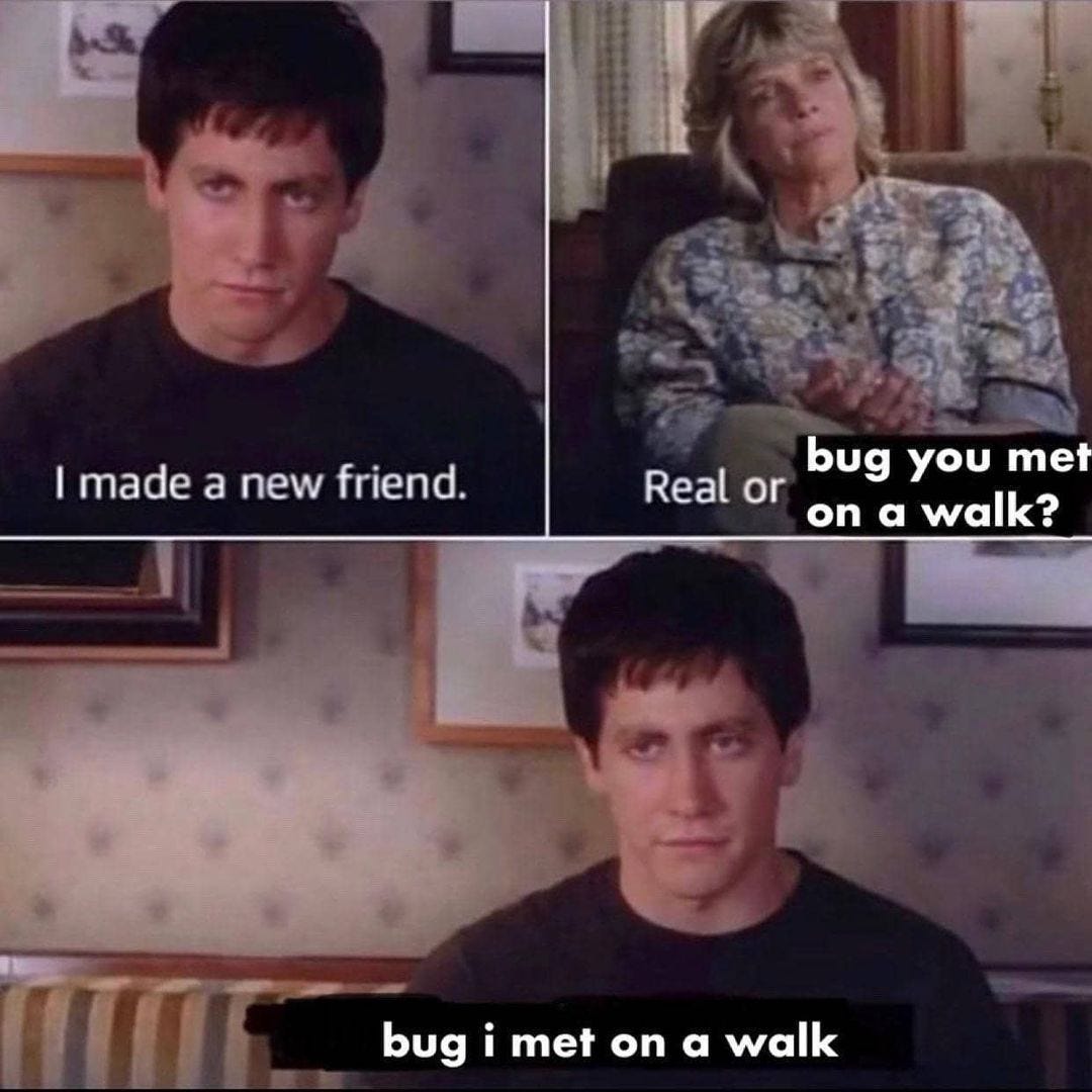 10 Infj Memes Explained Infj Memes Are Not Hard To Understand By Basic Mbti Medium