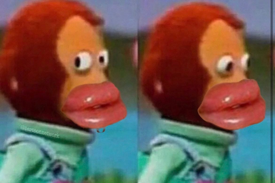 A monkey with lip injections gives an annoyed look before turning away.