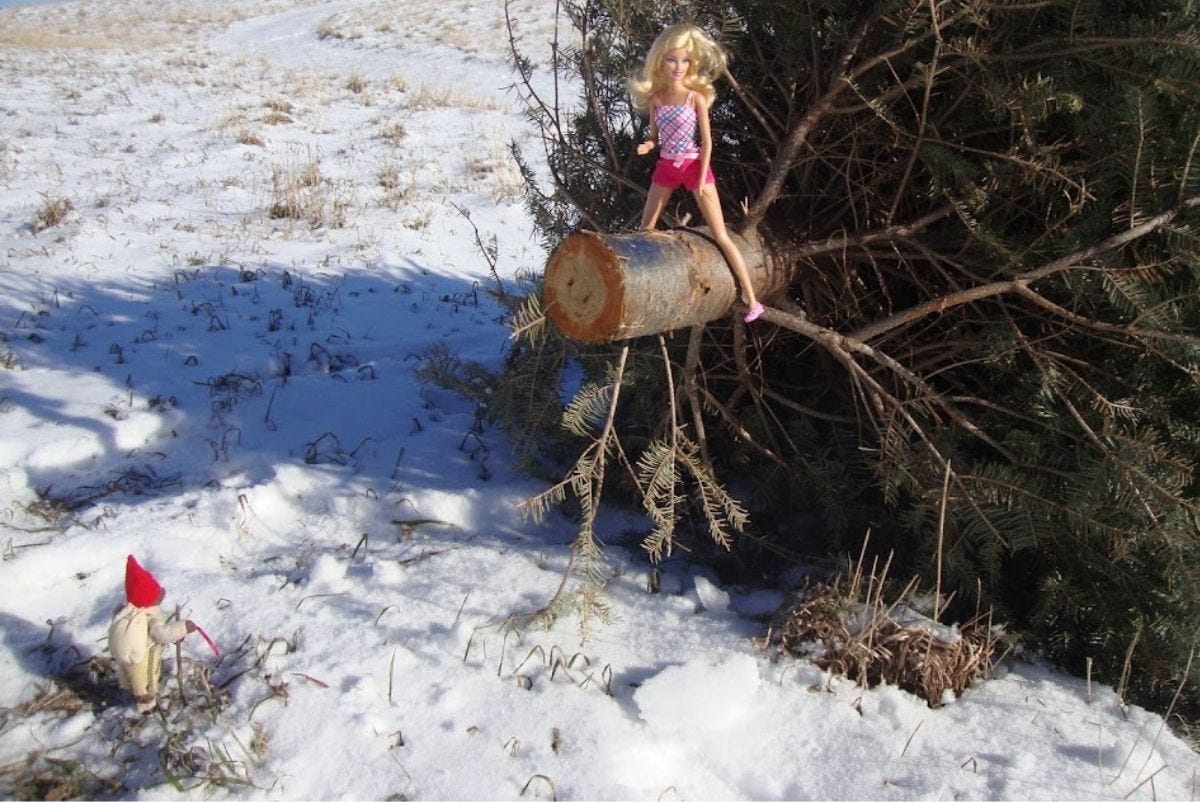 Uncropped image of Barbie doll straddling a Christmas tree with a gnome watching for The Museum of Imaginary Art at SchoolNewsToday.com