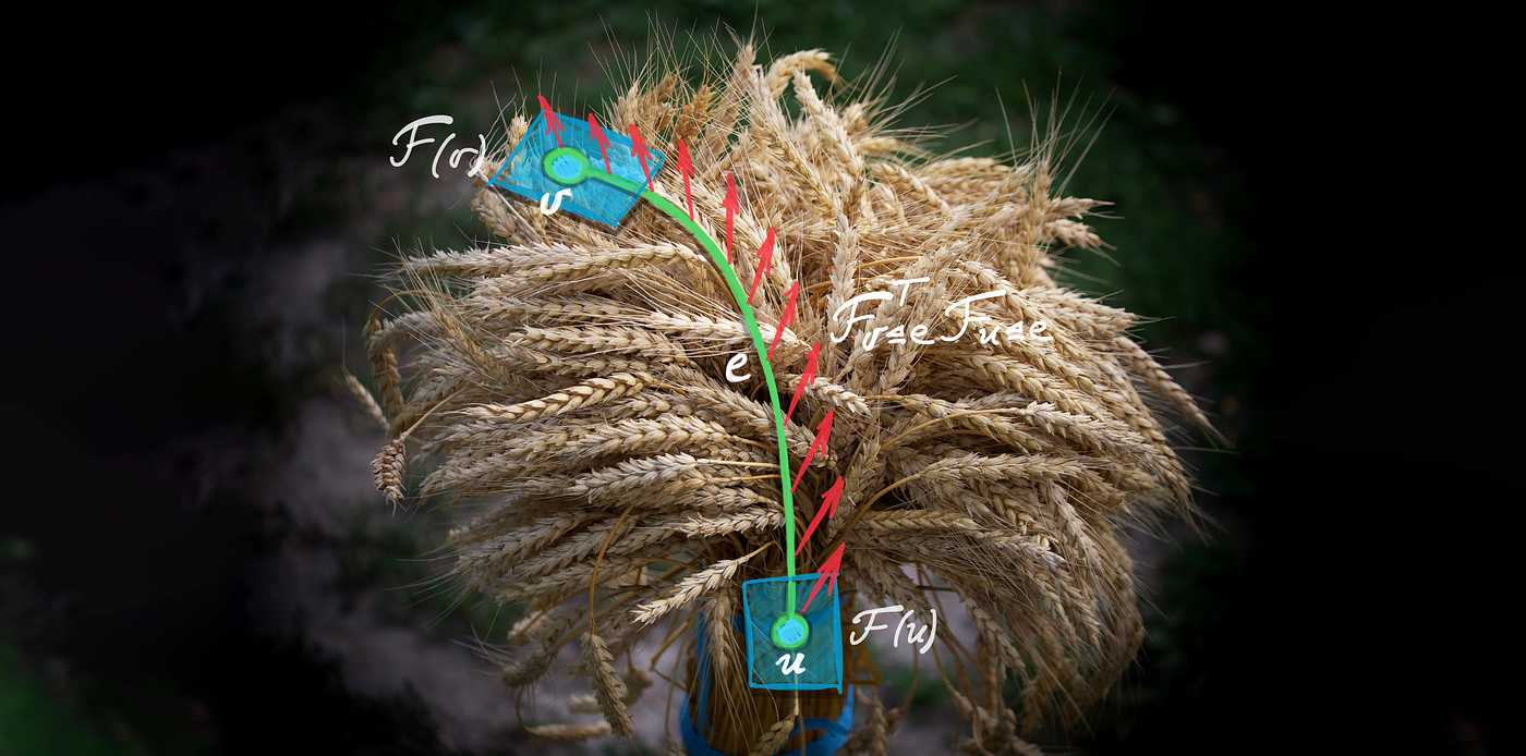 Neural Sheaf Diffusion for deep learning on graphs by Michael