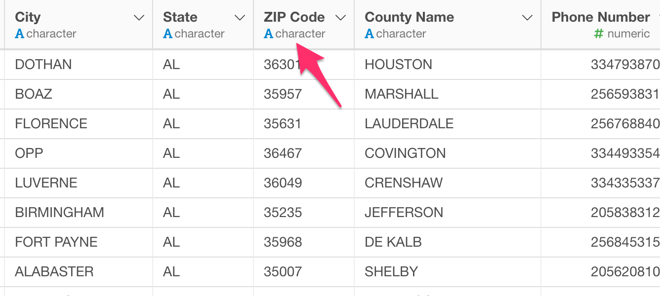 Notice that the data type for ZIP Code column indicates as Character type. 