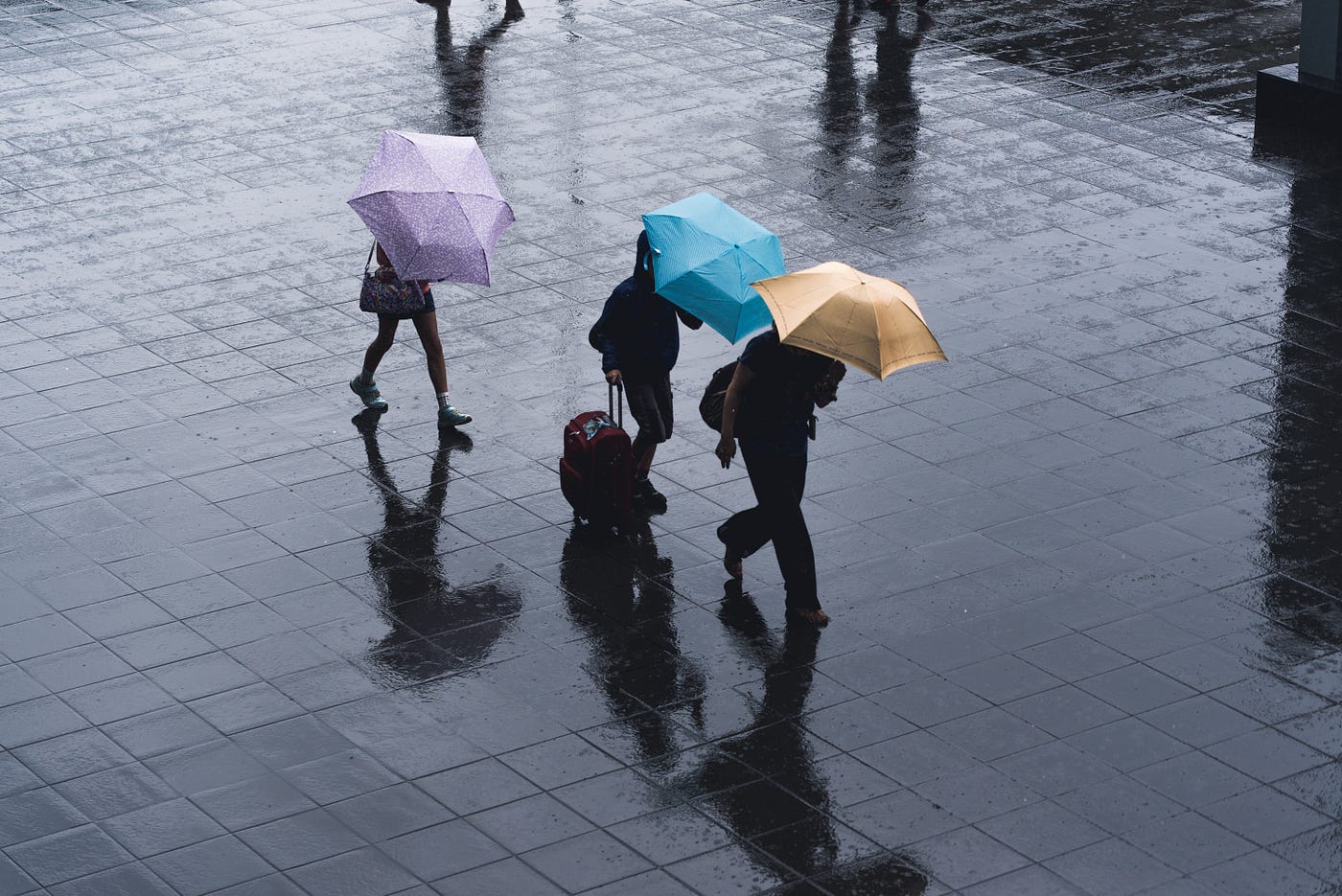 People walking in the rain with their umbrellas